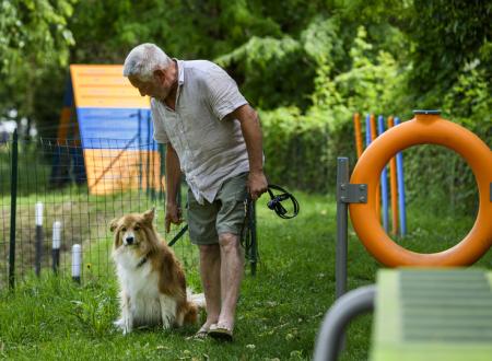 Espace Dog Agility