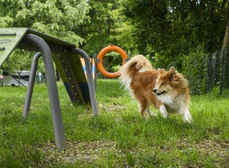 Espace Dog Agility