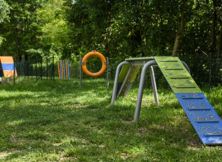 Espace Dog Agility